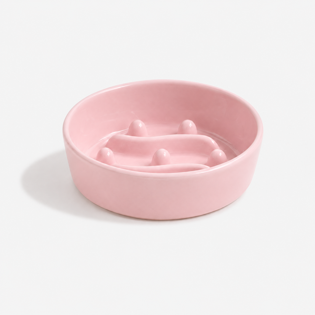 Premium Ceramic Slow Feeder Bowl for Dogs & Cats