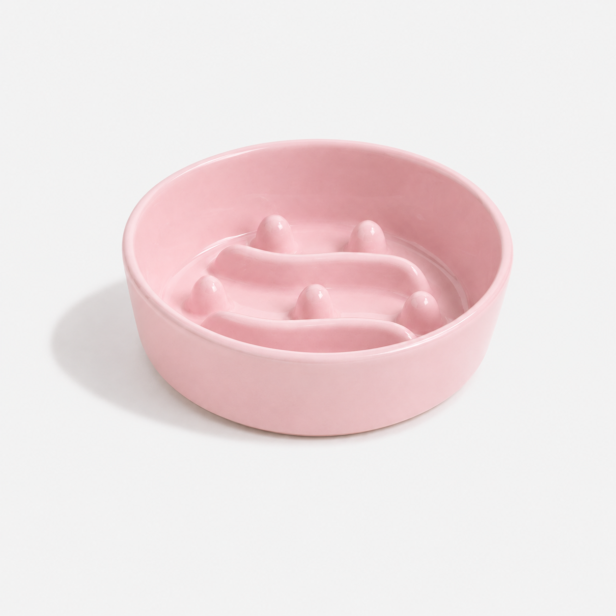 🎁 Premium Ceramic Slow Feeder Bowl for Dogs & Cats (50% off)