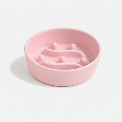 🎁 Premium Ceramic Slow Feeder Bowl for Dogs & Cats (50% off)