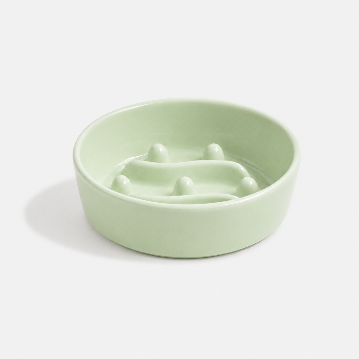 🎁 Premium Ceramic Slow Feeder Bowl for Dogs & Cats (100% off)