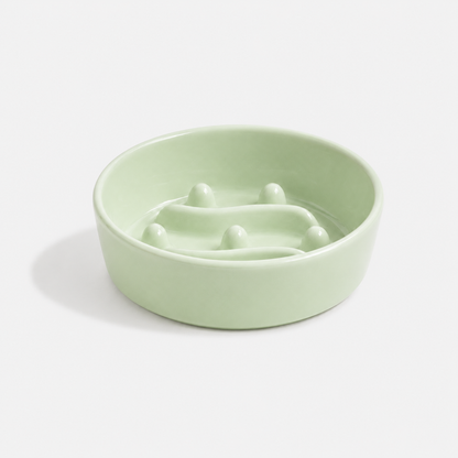 🎁 Premium Ceramic Slow Feeder Bowl for Dogs & Cats (50% off)