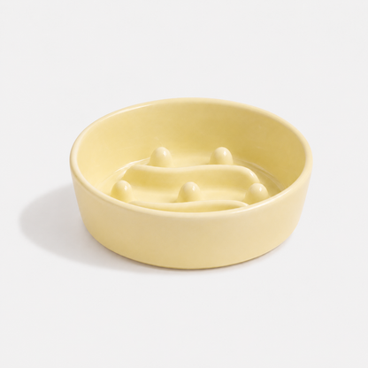 Premium Ceramic Slow Feeder Bowl for Dogs & Cats